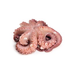 PULPO C CABEZA N2 REY DEL PULPO 6x 1-2Kg