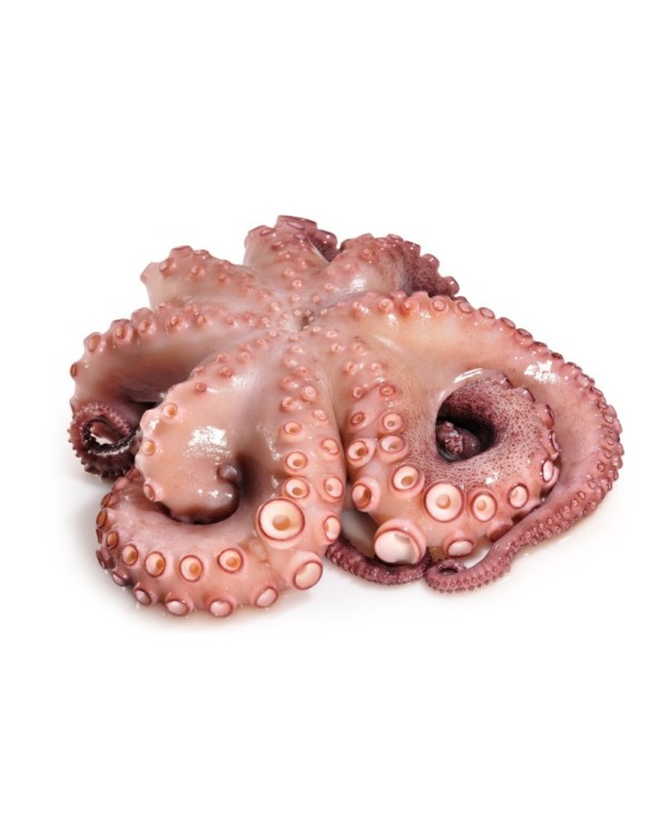 PULPO C CABEZA N2 REY DEL PULPO 6x 1-2Kg