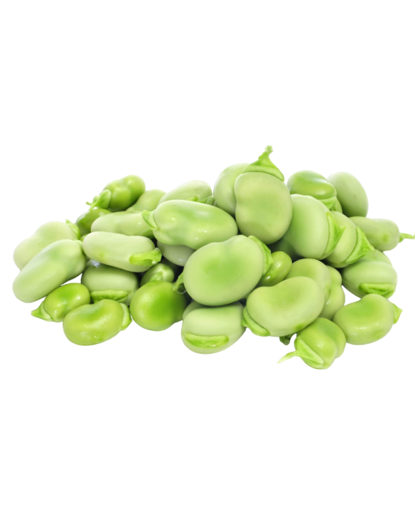 PEROLA D.MAR FAVAS CONG. COVETE 10X1KG