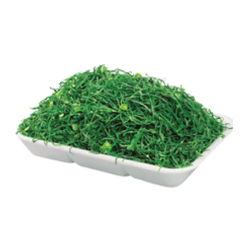 PEROLA D.MAR CALDO VERDE COVETE 6x500gr