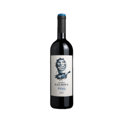 FRAGA DA GALOFHA RVA. ROUGE / DOURO / 6X75CL.